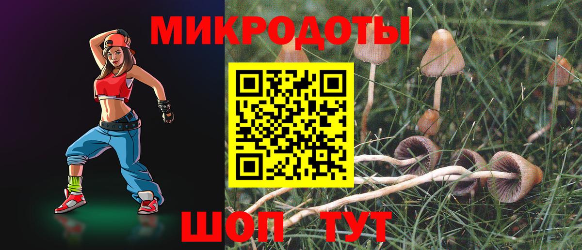 Долгопрудный  Псилоцибиновые грибы MAGIC MUSHROOMS  Галлюциногенные грибы прущие грибы  Вход с VPN 
